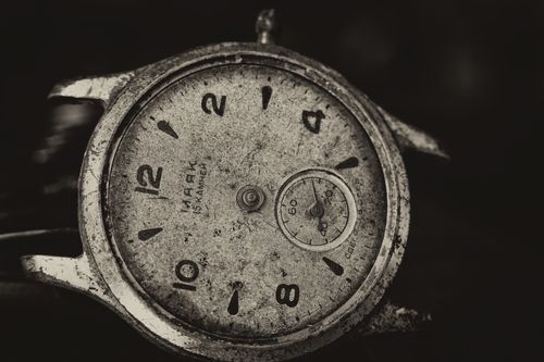 Felduhr (Field Watch): Merkmale und Herkunft erklärt